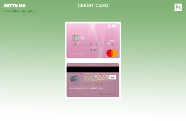 Модерен стил шаблон за мастер картички за кредитна банка на Естонија LHV